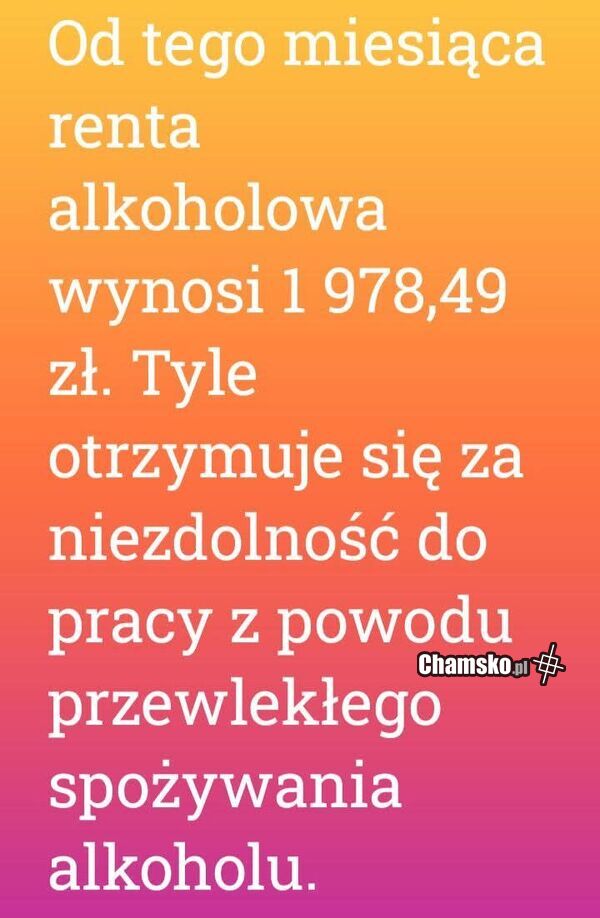 Chyba mam pomysł na to co robić w życiu