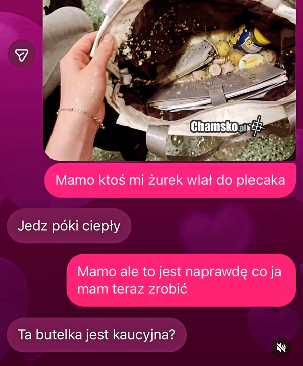 Żurek
