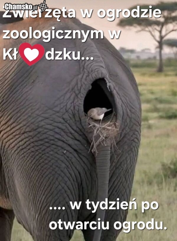 ZOO w Kłodzku
