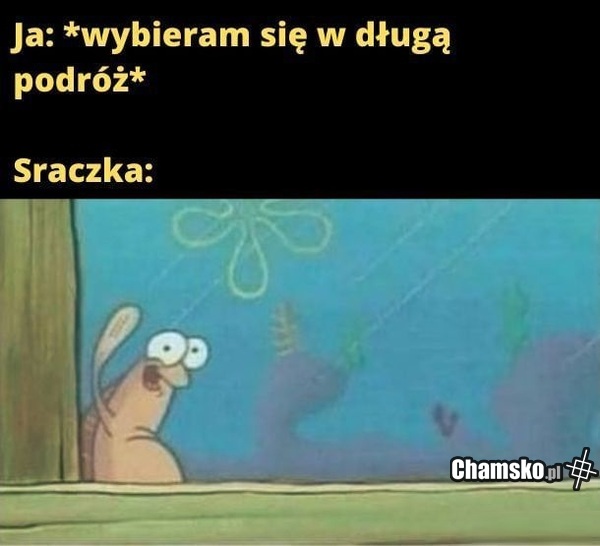 Długa podróż