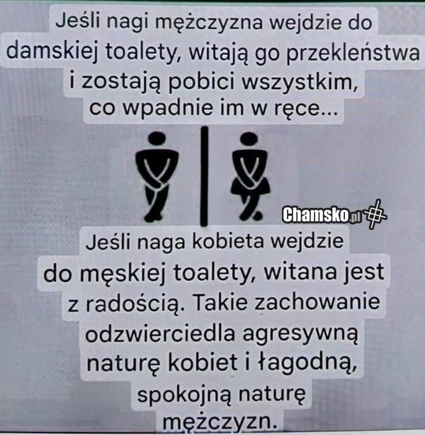 Wizyta w toalecie