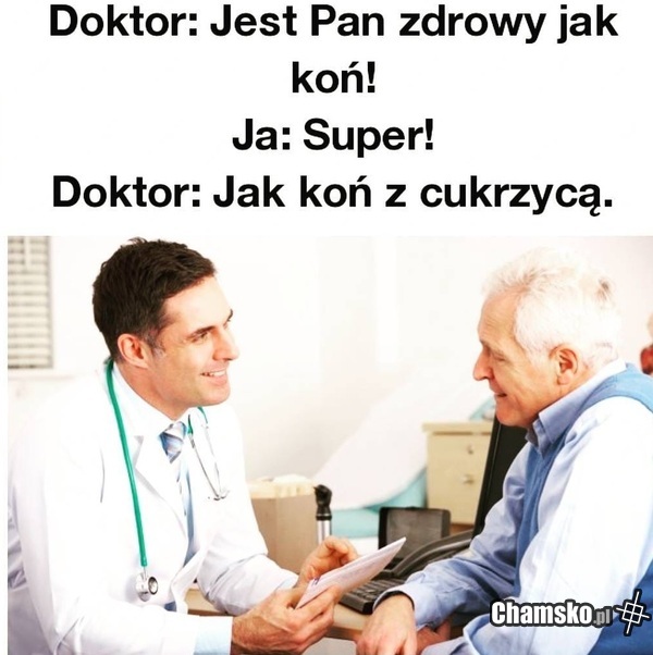 Zdrowy jak koń