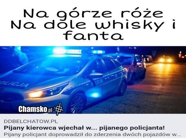 Na górze róże