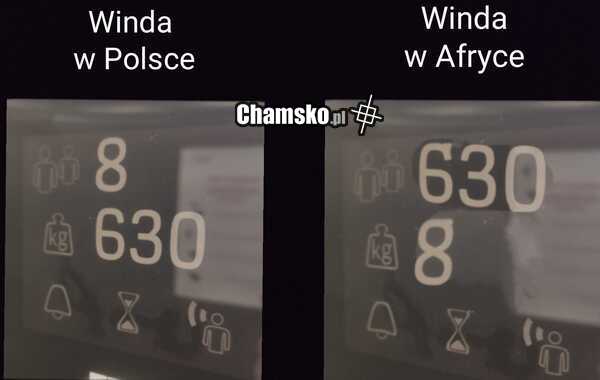 Windy
