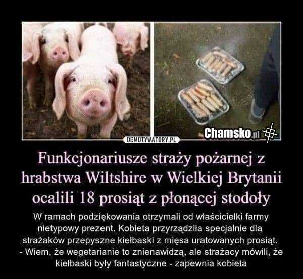 Pomysł na prezent