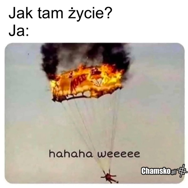 Jak tam Twoje życie?