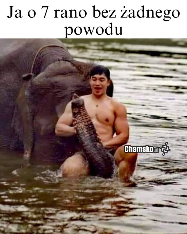 Poranny namiot