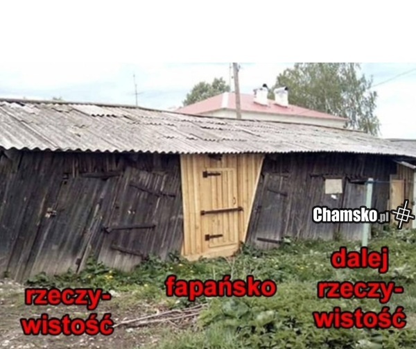 Idealny dzień