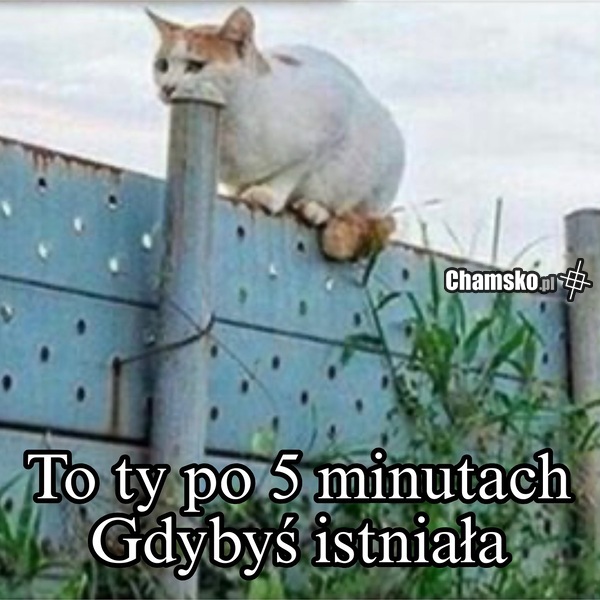 Ty po 5 minutach