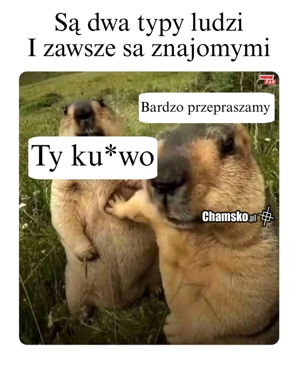 Znajomi
