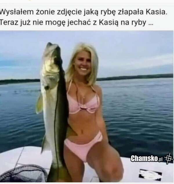 Piękna ryba