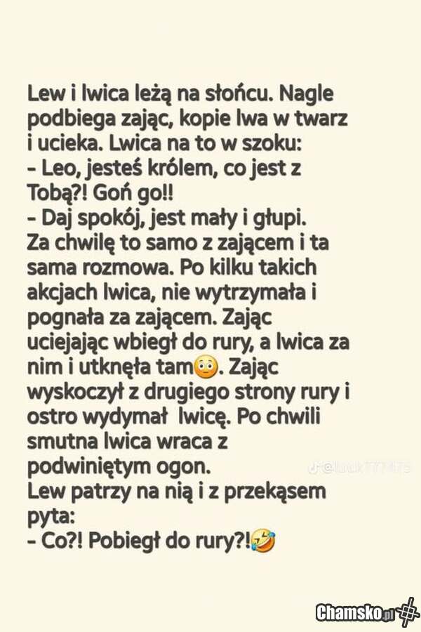 Lwie sprawy
