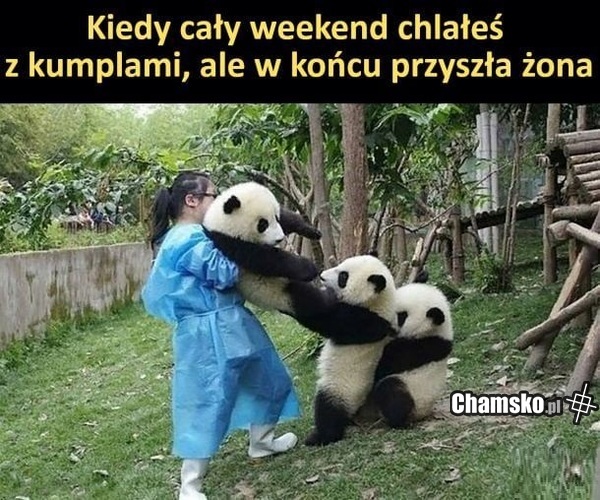 Weekendowe chlanie