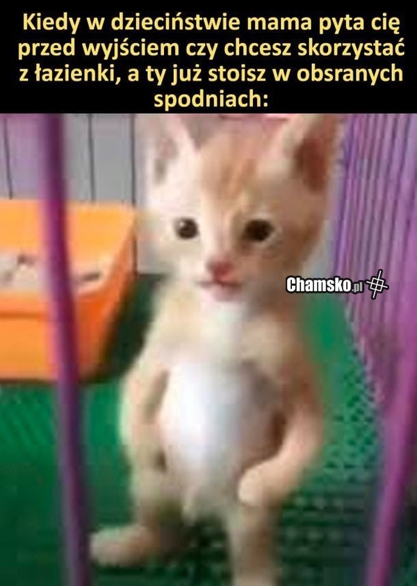 Pytanie przed wyjściem