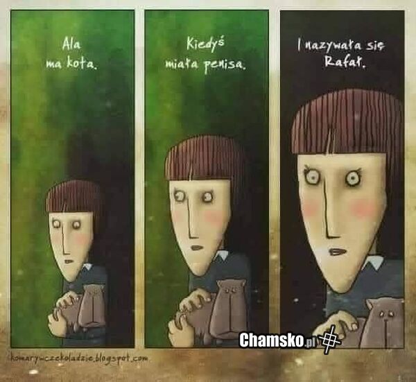 Ala ma kota