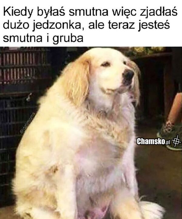 Grube baby