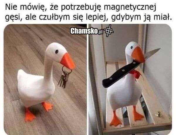Magnetyczna gęś