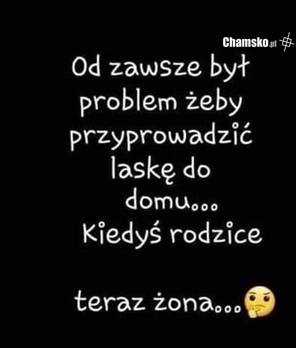 Przyprowadzanie lasek do domu