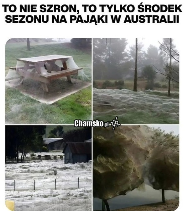 Szron
