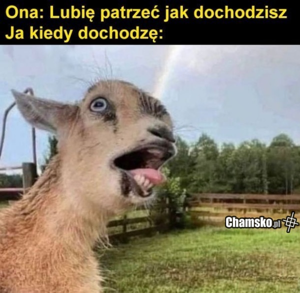 Dochodzenie