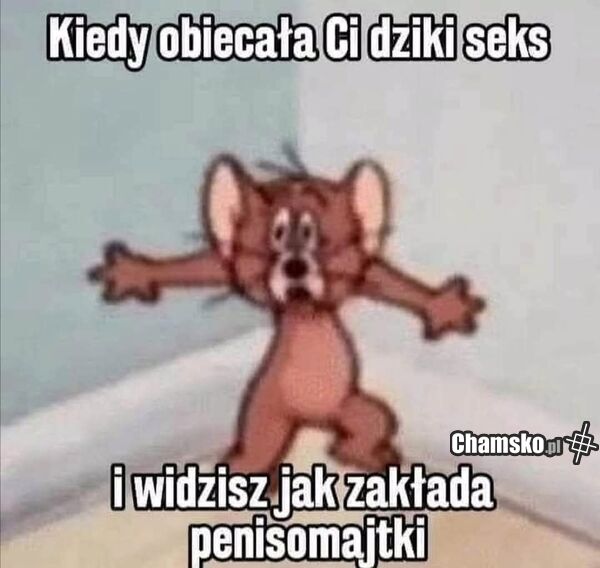 Coś nowego