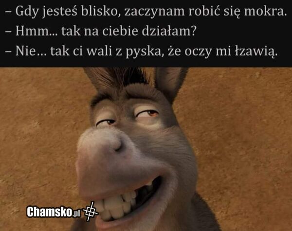 Mokra laska