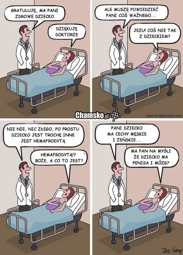 Hermafrodyta