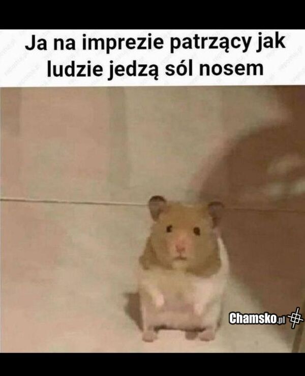 Dziwna impreza