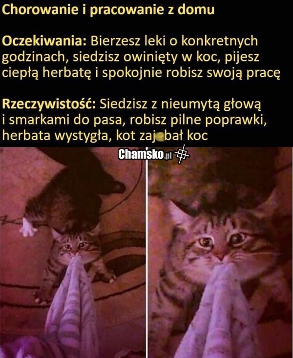 Chorowanie w domu