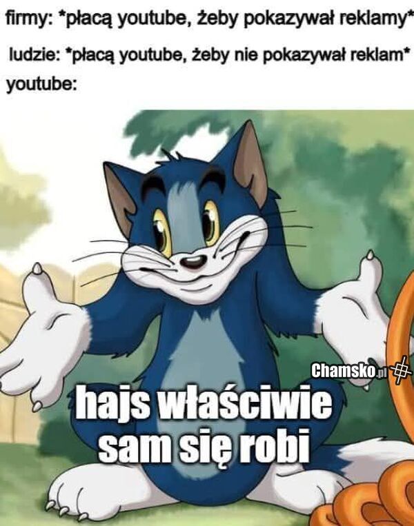Najbardziej zaspamiony serwis