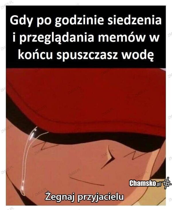 Pożegnanie
