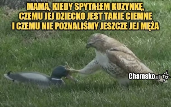 Lepiej nie pytać