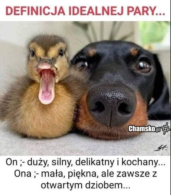 Idealna para