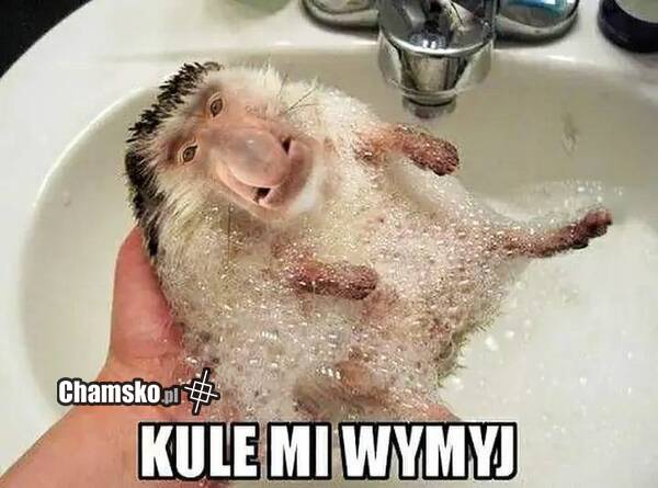 Kąpiel