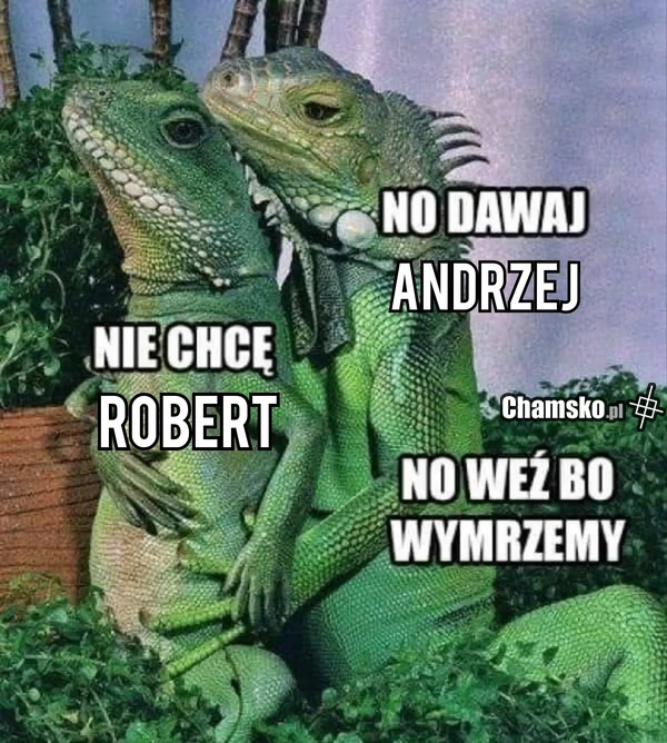 No dawaj