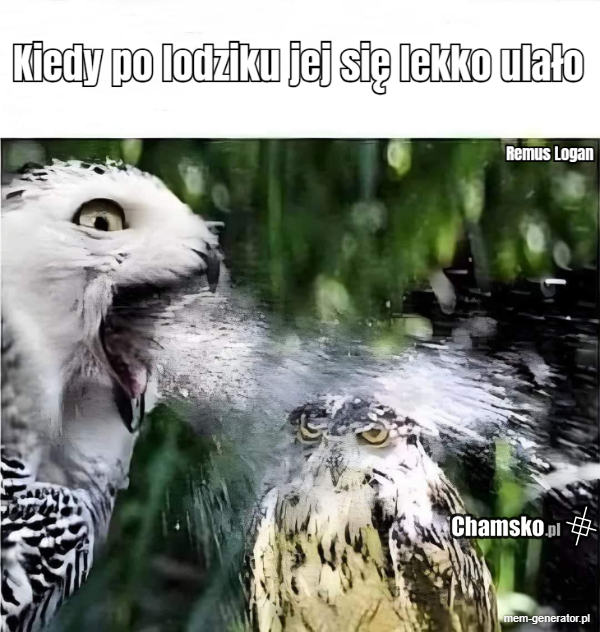 Po lodziku