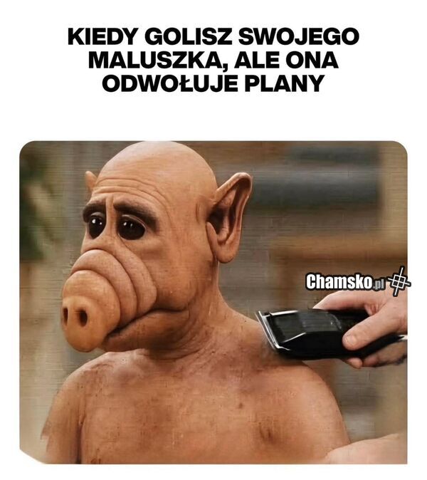 Golenie