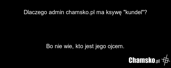 Dlaczego admin chamsko.pl ma ksywę "kundel"? Bo nie wie, kto jest jego ojcem.