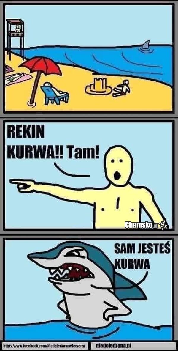 Rekin