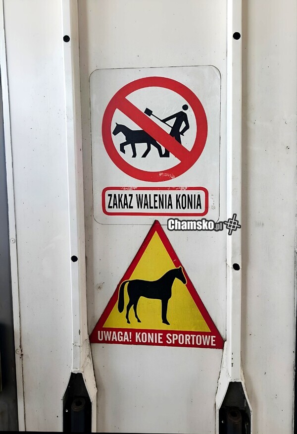 Zakaz