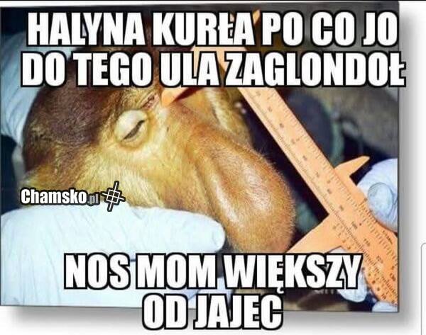 Nos