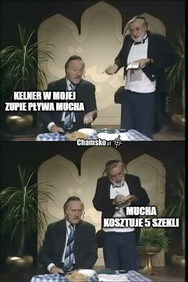 Mucha w zupie