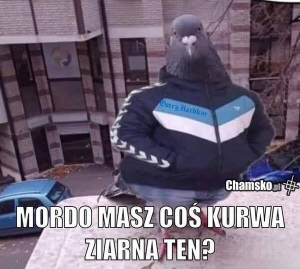 Ziarno