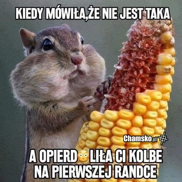 Kolba