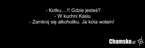 - Kotku....!! Gdzie jesteś? - W kuchni Kasiu - Zamknij się alkoholiku. Ja kota wołam!