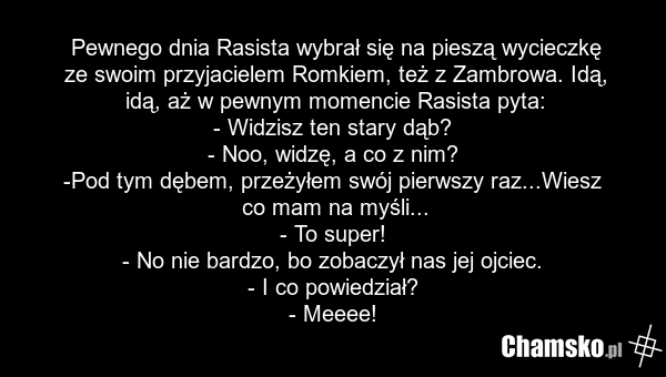 Pewnego dnia Rasista wybrał się na pieszą wycieczkę ze swoim przyjacielem Romkiem, też z Zambrowa. Idą, idą, aż w pewnym momencie Rasista pyta: - Widzisz ten stary dąb? - Noo, widzę, a co z nim? -Pod tym dębem, przeżyłem swój pierwszy raz...Wiesz co mam na myśli... - To super! - No nie bardzo, bo z…