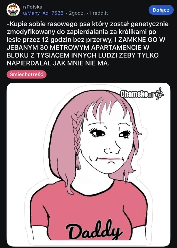 Świetny pomysł