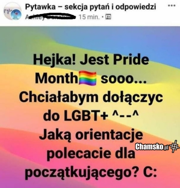 Co polecacie?
