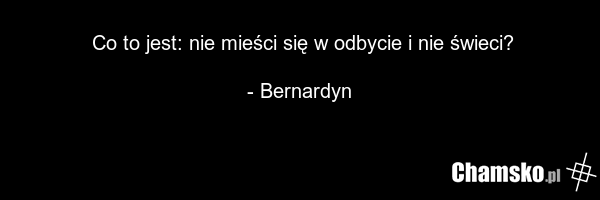Co to jest: nie mieści się w odbycie i nie świeci? - Bernardyn