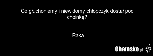 Co głuchoniemy i niewidomy chłopczyk dostał pod choinkę? - Raka